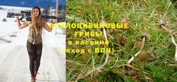 гашик Горняк