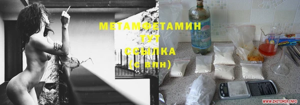 шишки Горнозаводск