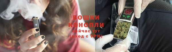 гашик Горняк