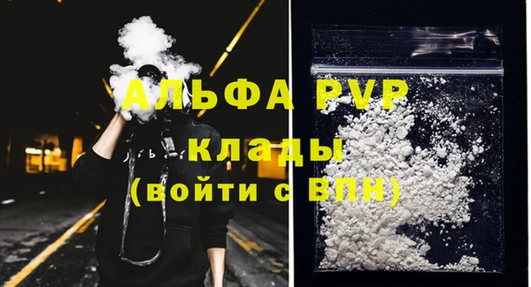 гашик Горняк
