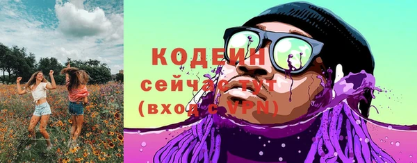 гашик Горняк