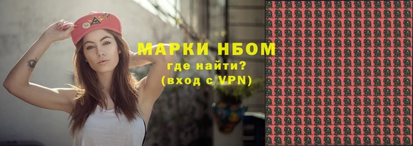 гашик Горняк