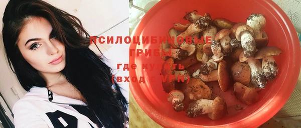 шишки Горнозаводск
