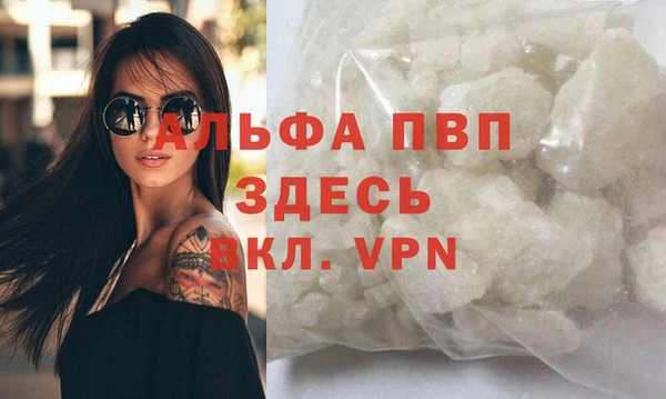гашик Горняк