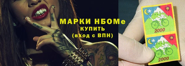 гашик Горняк