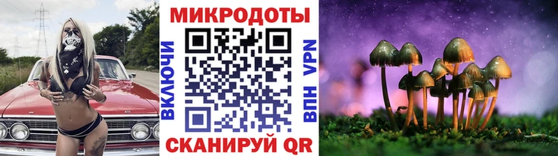 Галлюциногенные грибы мухоморы  Братск 