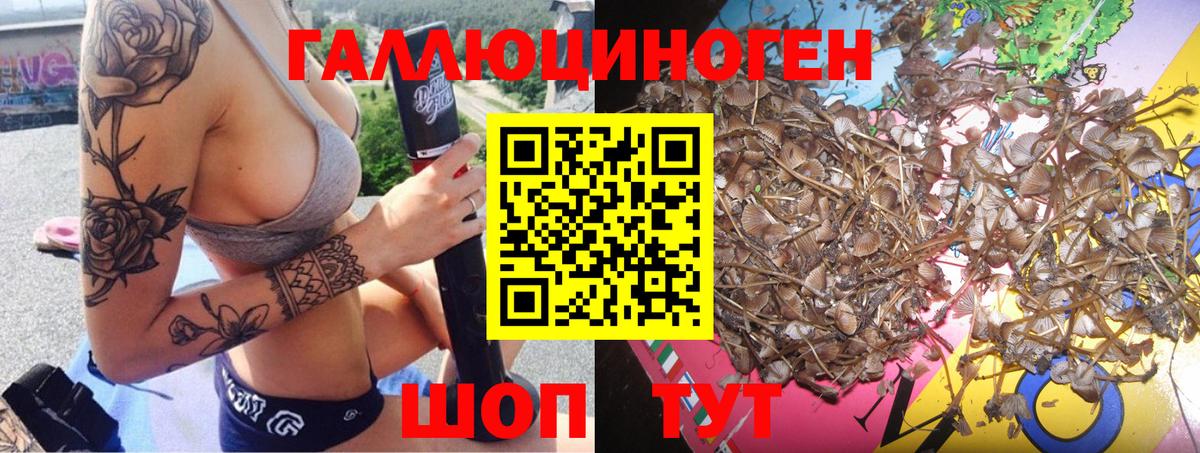 Братск  Галлюциногенные грибы Psilocybine cubensis  Вход с VPN  Галлюциногенные грибы ЛСД 
