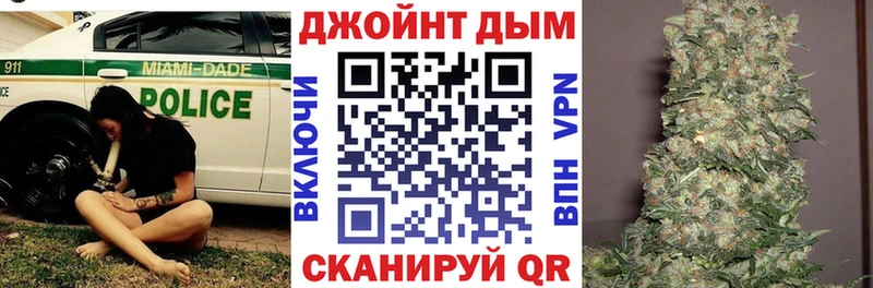 Каннабис конопля Братск