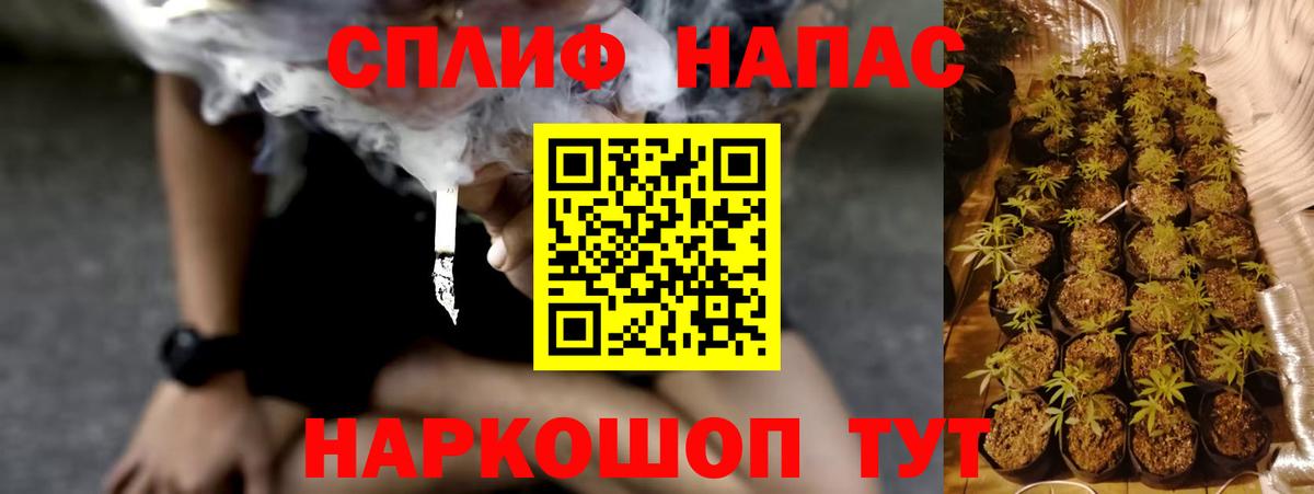 МАРИХУАНА конопля  Шишки марихуана ГИДРОПОН  Шишки марихуана сатива  Братск 